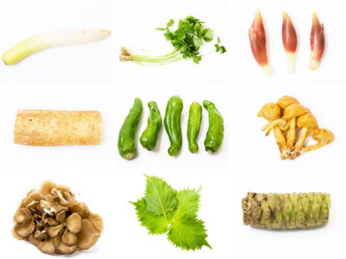 A collage of vegetables used in typical Japanese cuisine
