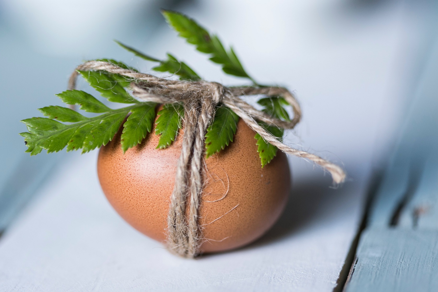 Egg with plant tied around it