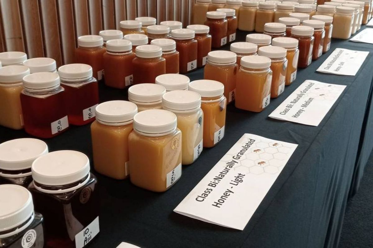 Apiculture New Zealand announces national honey competition winners