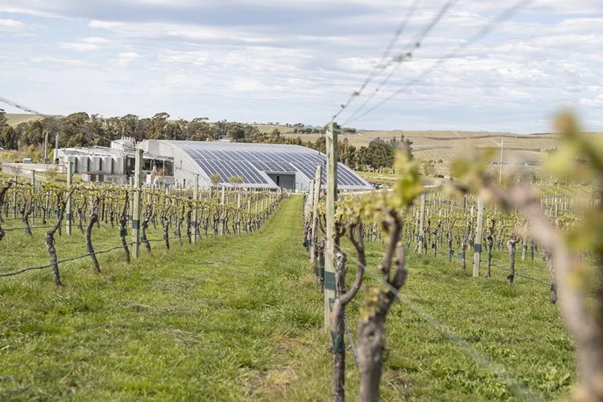 Marlborough Lines Limited (MLL) are looking for a partner for Yeadlands Wines