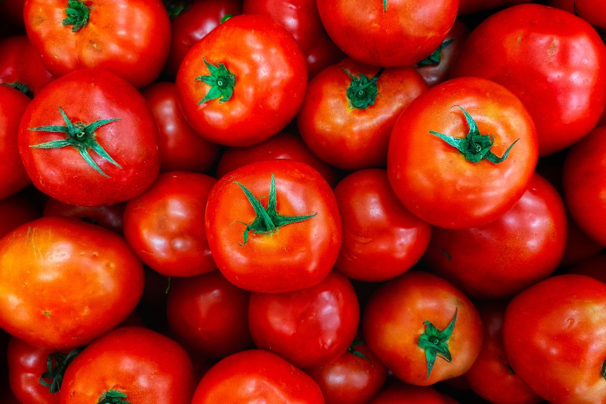 Tomato Sauce shortage in the USA due to historic California Droughts
